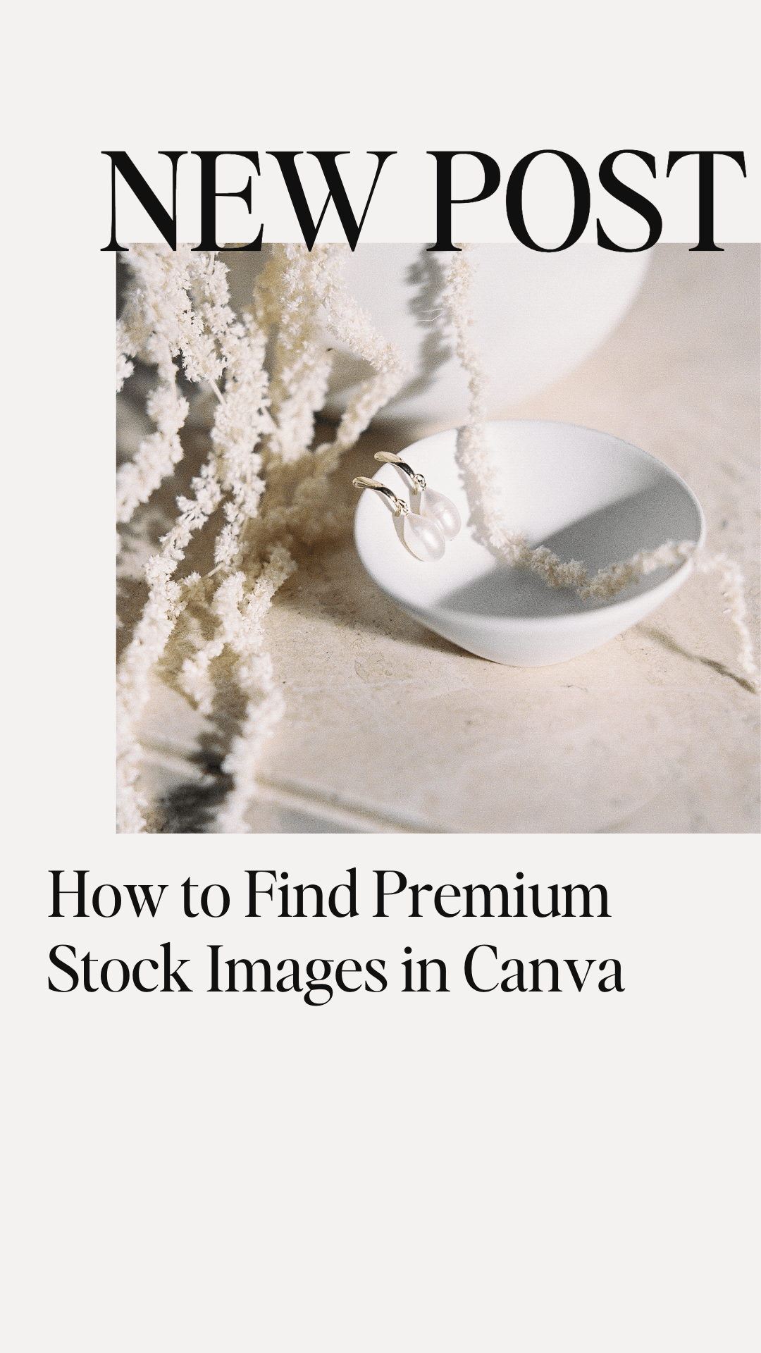 How to Easily Find the Best Canva Stock Photos